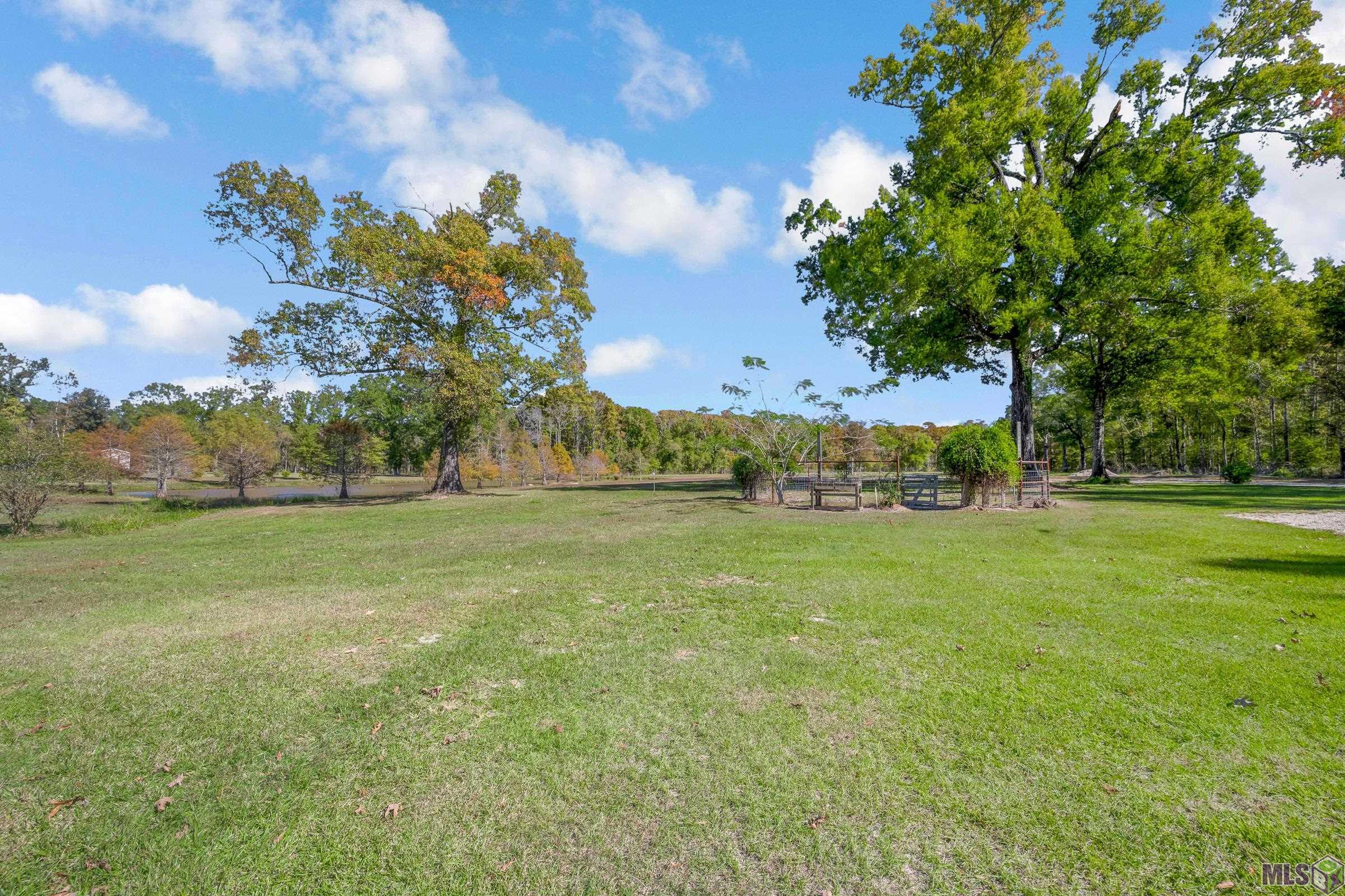 15254 Penalber Road Maurepas, LA 70449 - Photo 13 of 22