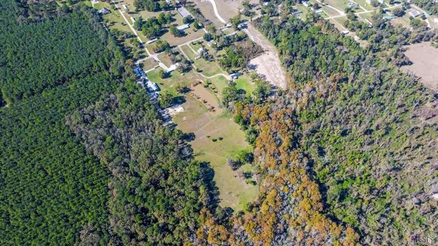 $380,000 | 15254 Penalber Road, Maurepas, LA 70449