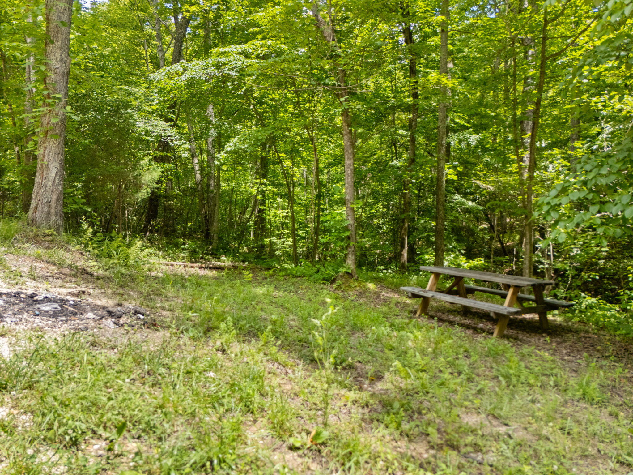 1137 High Rock Road Stanton, KY 40380 - Photo 49 of 125 39-web-or-mls-DJI_20250616135011_0246_D