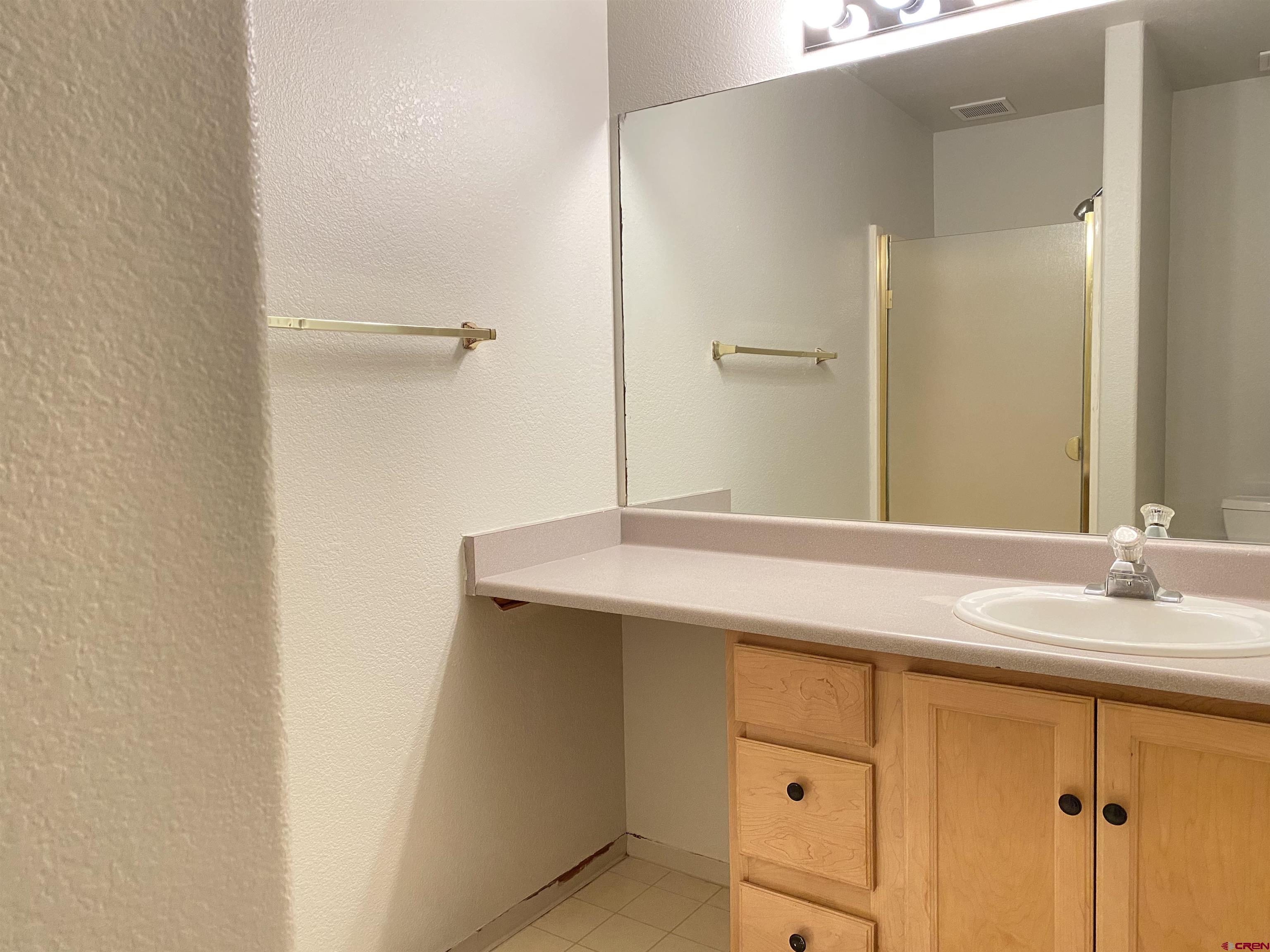33 Sunridge Lane Durango, CO 81301 - Photo 26 of 37 a bathroom with a sink and a mirror