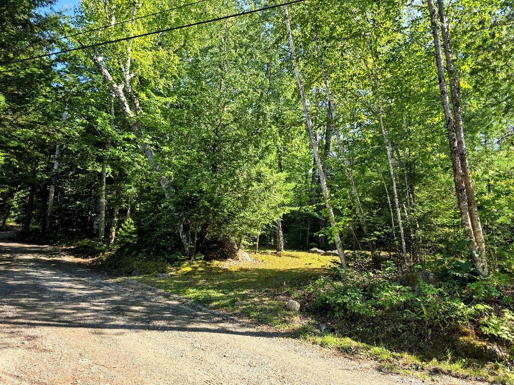 43 South Shore Rd (Fire Road 1) Milo, ME 04463 - Photo 23 of 32 20260727_155339-EDIT