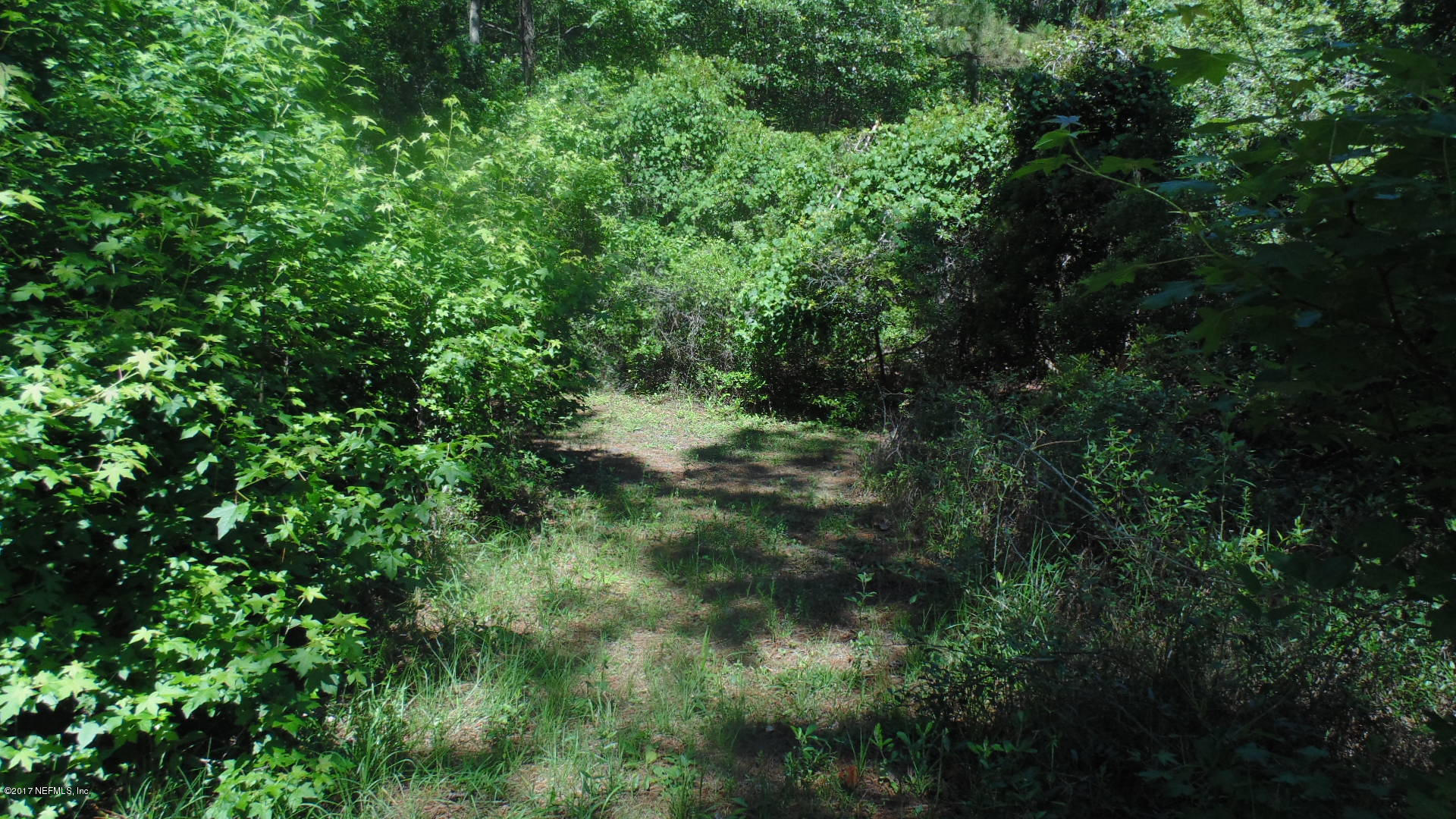 11622 Simmons Road Jacksonville, FL 32218 - Photo 12 of 20 DSC00914