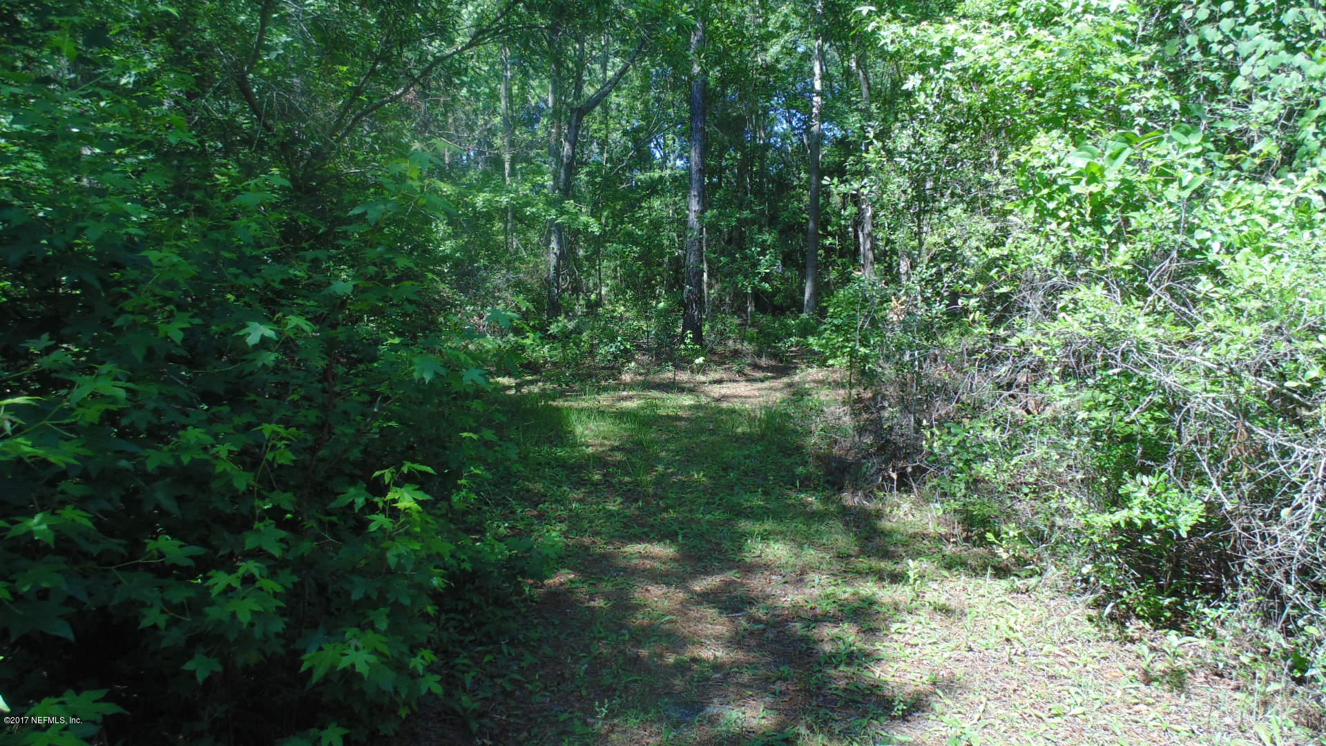 11622 Simmons Road Jacksonville, FL 32218 - Photo 13 of 20 DSC00915