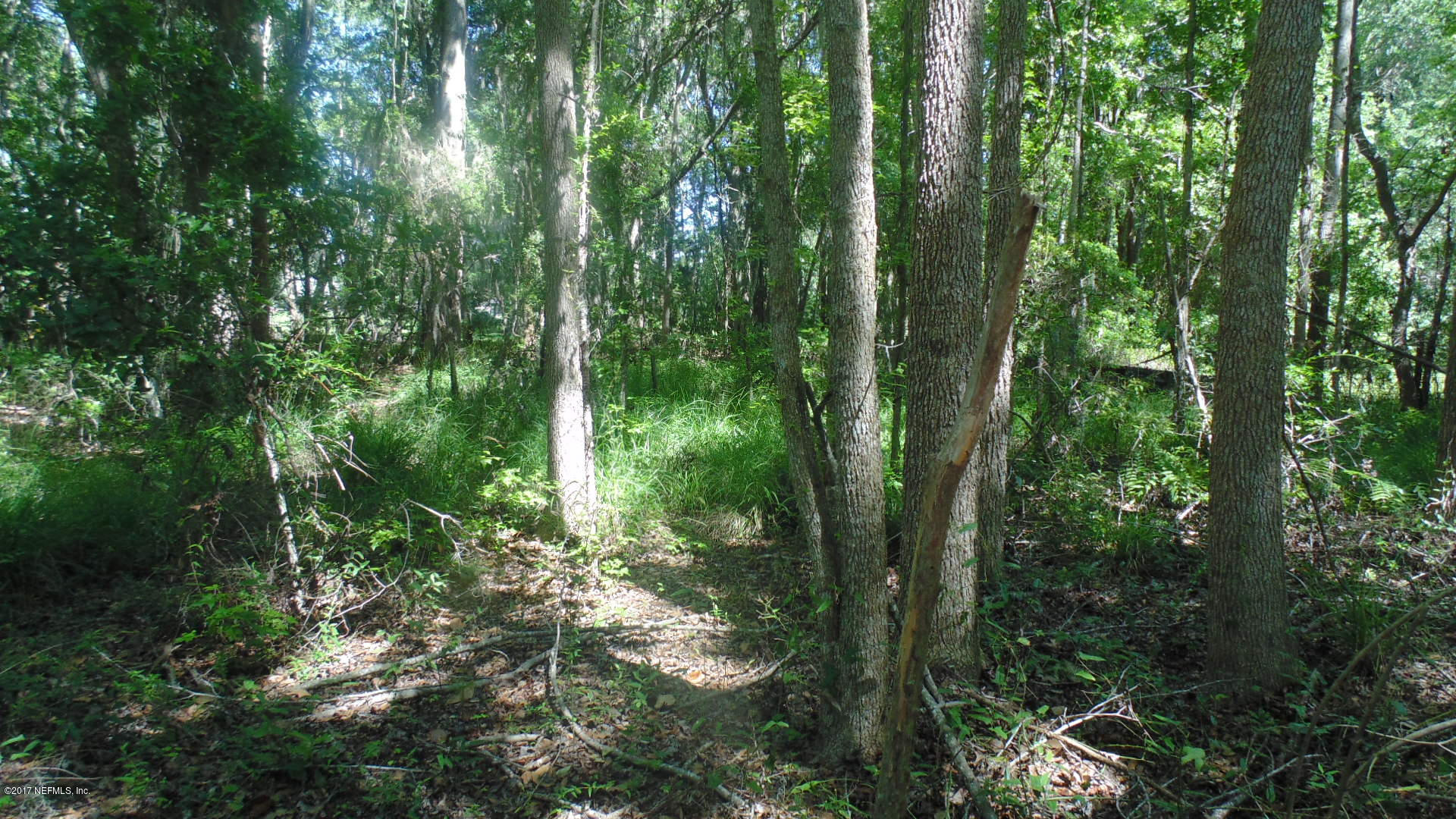 11622 Simmons Road Jacksonville, FL 32218 - Photo 15 of 20 DSC00919