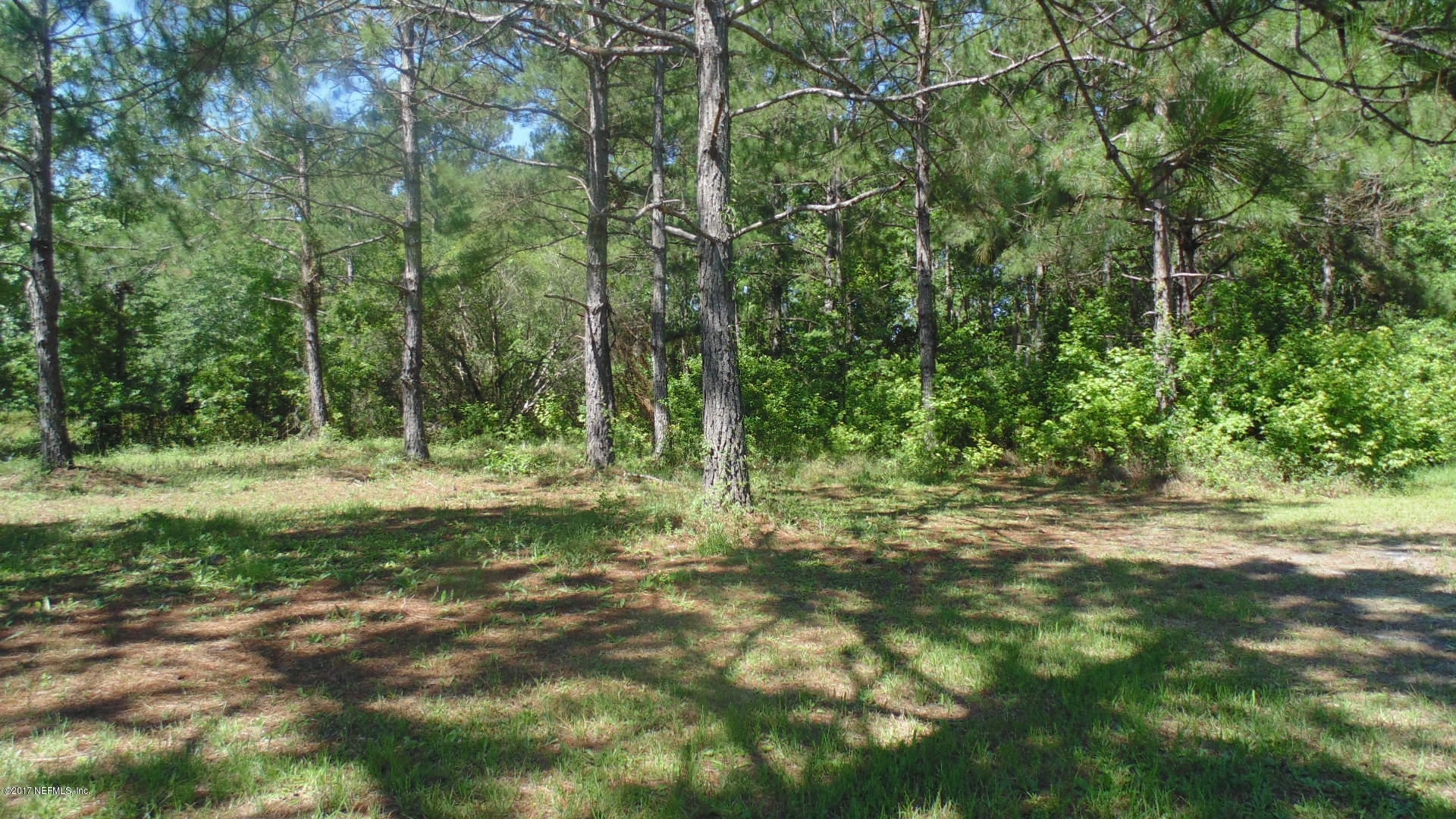 11622 Simmons Road Jacksonville, FL 32218 - Photo 9 of 20 DSC00911