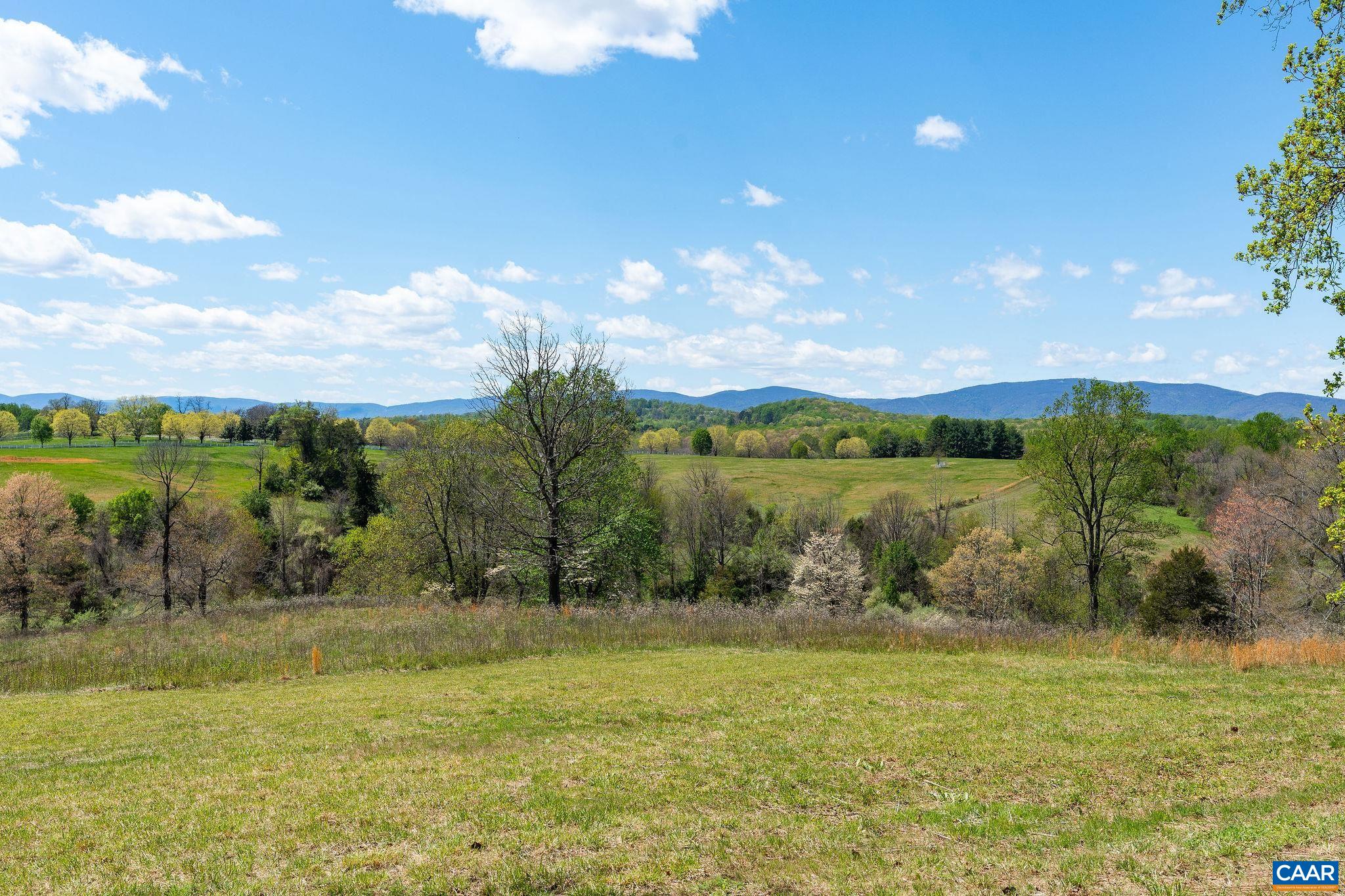 21-acres Tbb Bloomfield Road Charlottesville, VA 22903 - Photo 8 of 12