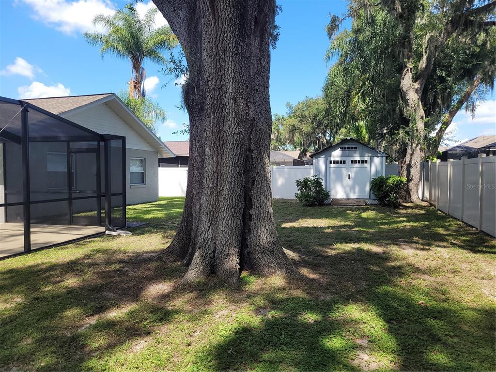 1104 Riflecrest Avenue Valrico, FL 33594 - Photo 20 of 21
