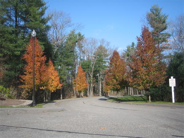 48 Turtle Brook Road, Unit 92 Canton, MA 02021 - Photo 17 of 18 Gallery Image 17