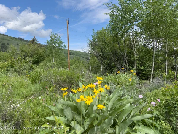 $1,975,000 | Rodeo Road, Jackson, WY 83001