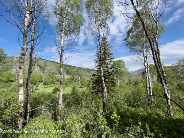 $1,975,000 | Rodeo Road, Jackson, WY 83001