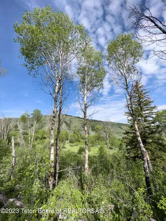 $1,975,000 | Rodeo Road, Jackson, WY 83001