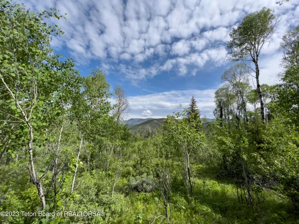 $1,975,000 | Rodeo Road, Jackson, WY 83001