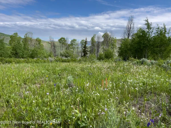 $1,975,000 | Rodeo Road, Jackson, WY 83001