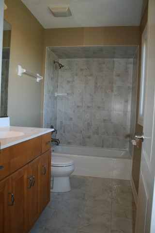 4115 Champion Road Naperville, IL 60564 - Photo 14 of 18 a bathroom with a sink a toilet and shower