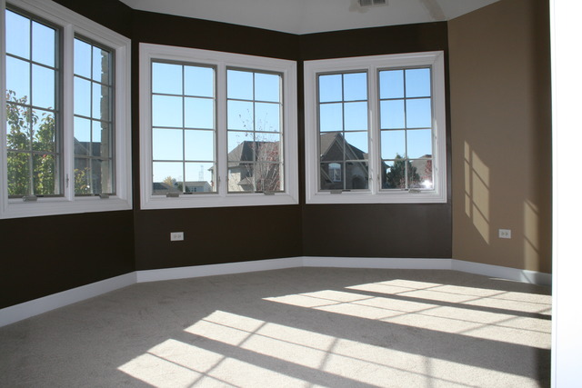 4115 Champion Road Naperville, IL 60564 - Photo 17 of 18 a view of a window in an empty room