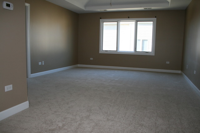 4115 Champion Road Naperville, IL 60564 - Photo 10 of 18 an empty room with a window