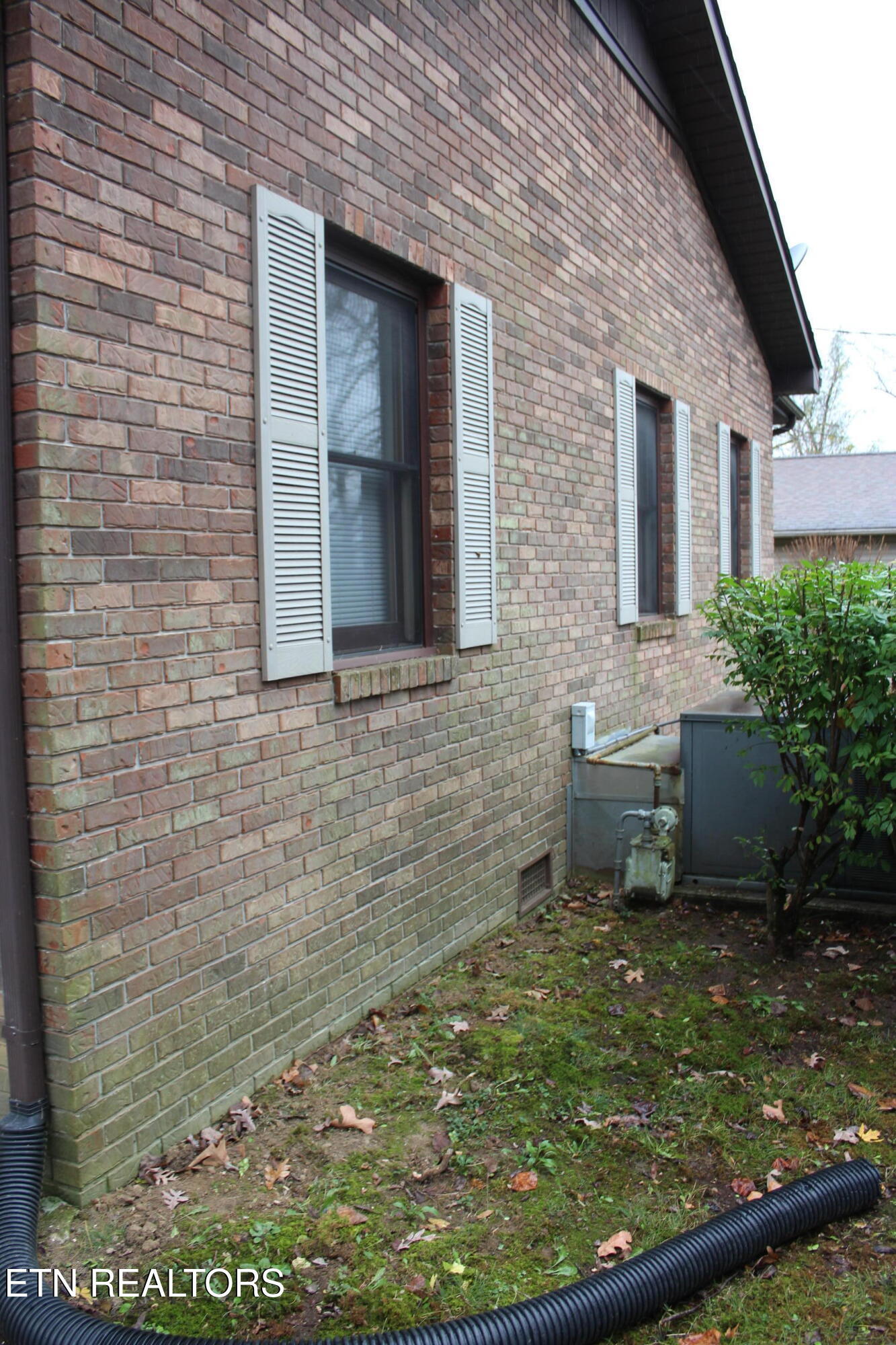 215 Rugby Avenue Jamestown, TN 38556 - Photo 3 of 37 003