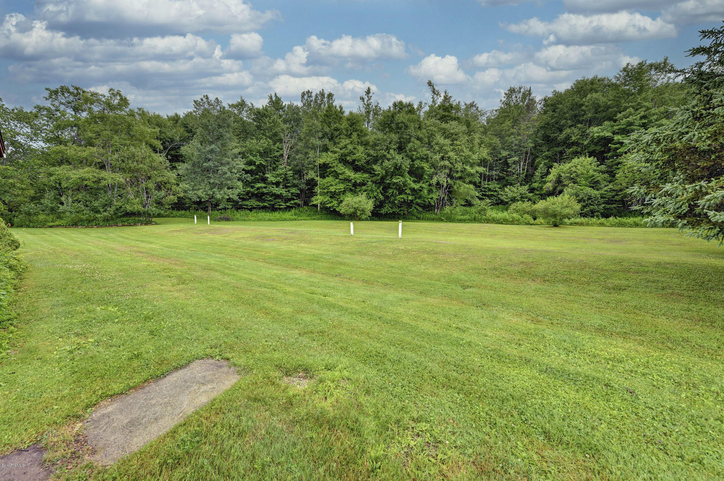 373 Haskins Road Savoy, MA 01256 - Photo 32 of 34 a view of field with tall trees