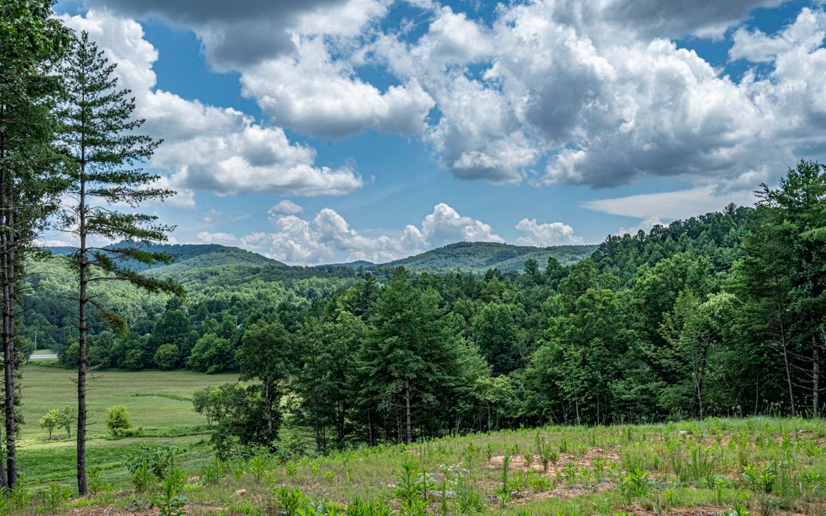 Lot 152 The Ridges Morganton, GA 30560 - Photo 12 of 48 Additional View