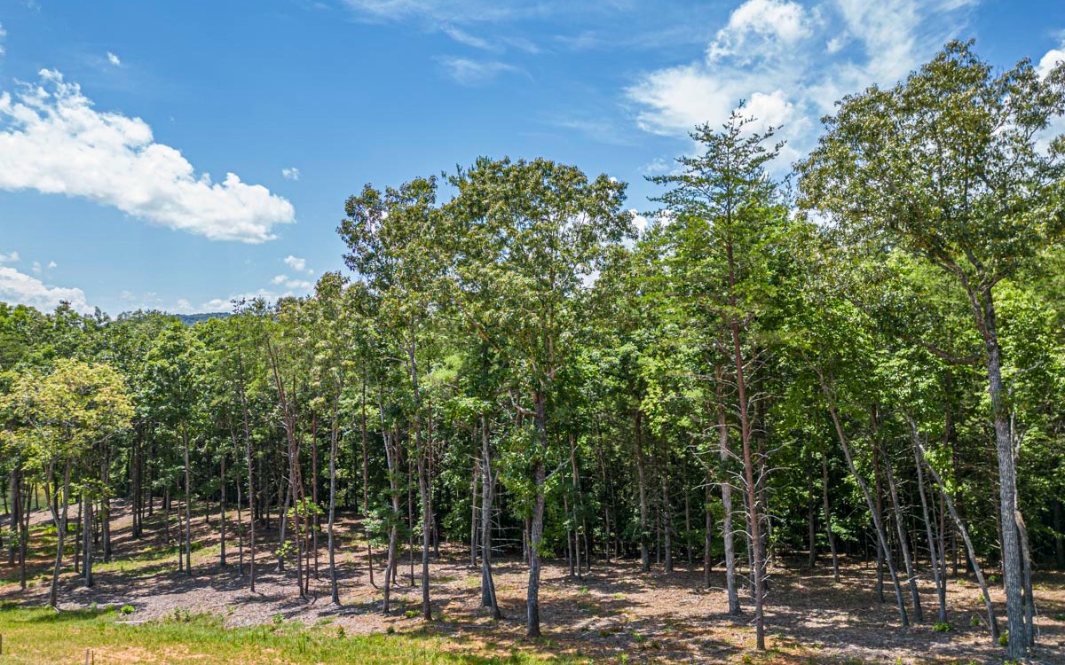 Lot 152 The Ridges Morganton, GA 30560 - Photo 13 of 48 Additional View