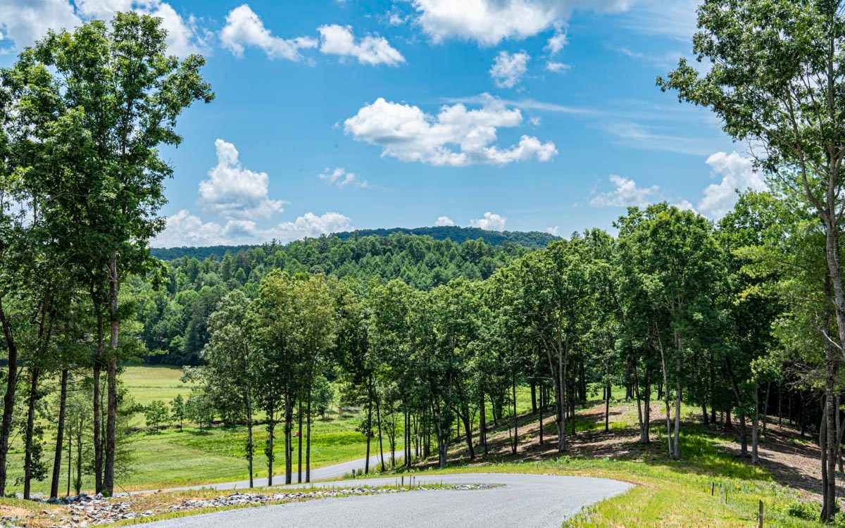 Lot 152 The Ridges Morganton, GA 30560 - Photo 16 of 48 Additional View