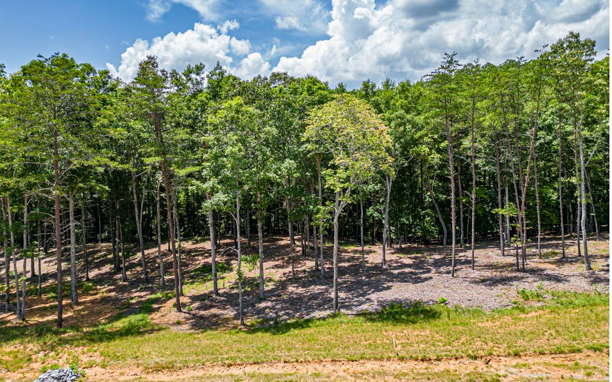 Lot 152 The Ridges Morganton, GA 30560 - Photo 17 of 48 Additional View