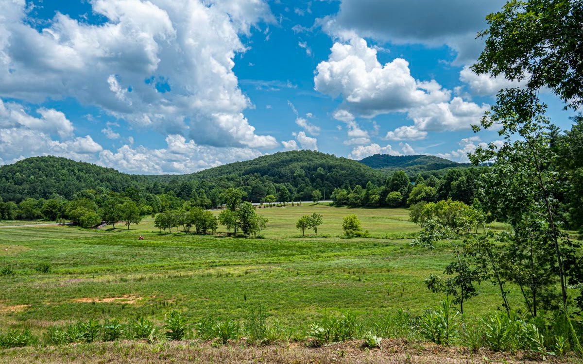 Lot 152 The Ridges Morganton, GA 30560 - Photo 27 of 48 Additional View