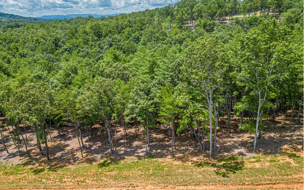 Lot 152 The Ridges Morganton, GA 30560 - Photo 29 of 48 Additional View