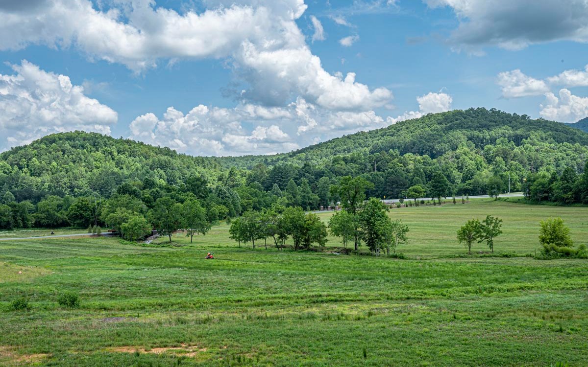 Lot 152 The Ridges Morganton, GA 30560 - Photo 30 of 48 Additional View
