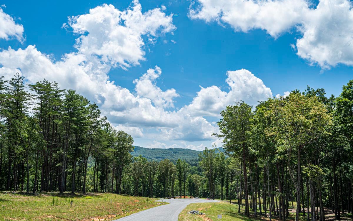 Lot 152 The Ridges Morganton, GA 30560 - Photo 3 of 48 Additional View