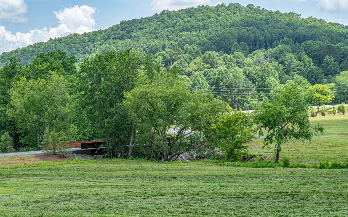 Lot 152 The Ridges Morganton, GA 30560 - Photo 32 of 48 Additional View