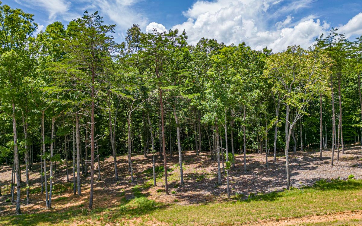 Lot 152 The Ridges Morganton, GA 30560 - Photo 39 of 48 Additional View