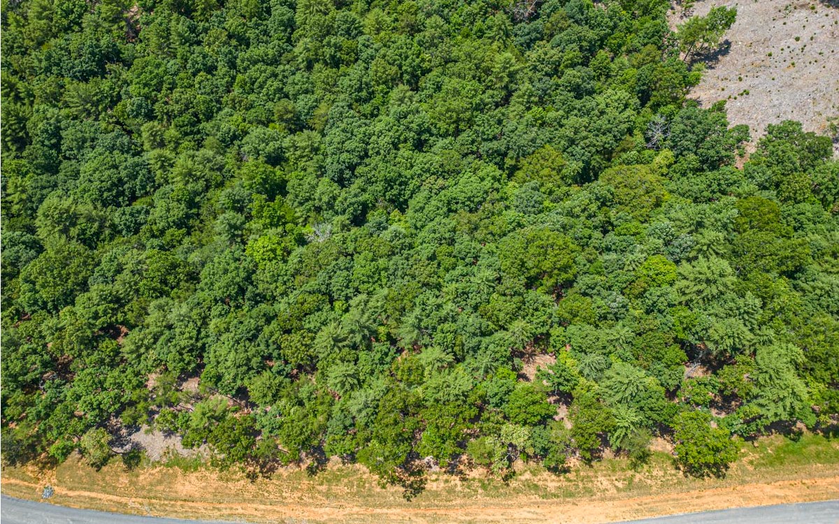 Lot 152 The Ridges Morganton, GA 30560 - Photo 43 of 48 Additional View
