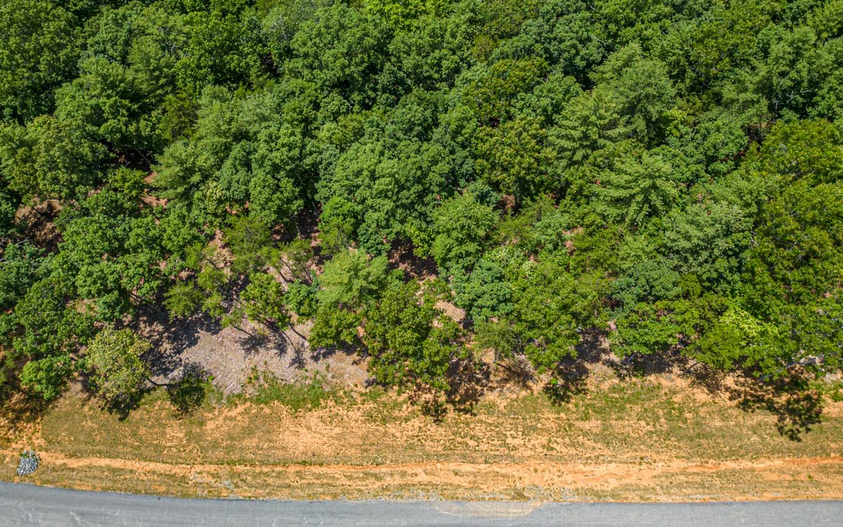 Lot 152 The Ridges Morganton, GA 30560 - Photo 45 of 48 Additional View