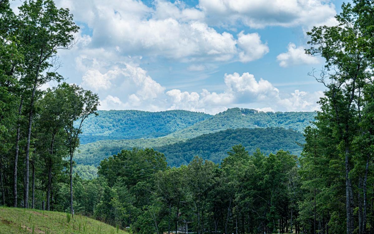 Lot 152 The Ridges Morganton, GA 30560 - Photo 5 of 48 Additional View