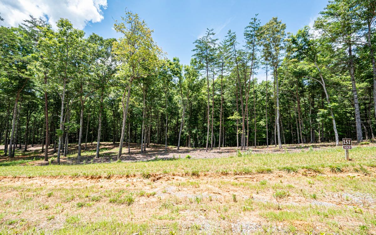 Lot 152 The Ridges Morganton, GA 30560 - Photo 7 of 48 Additional View