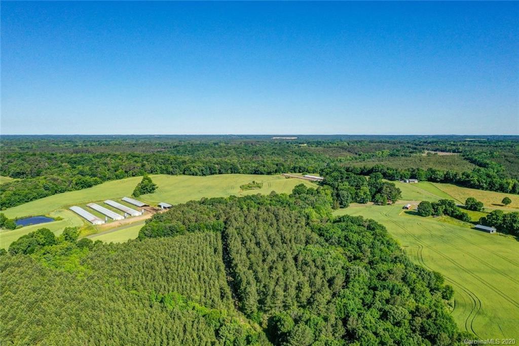 1246 Lower White Store Road Peachland, NC 28133 - Photo 12 of 17 Gallery Image 12