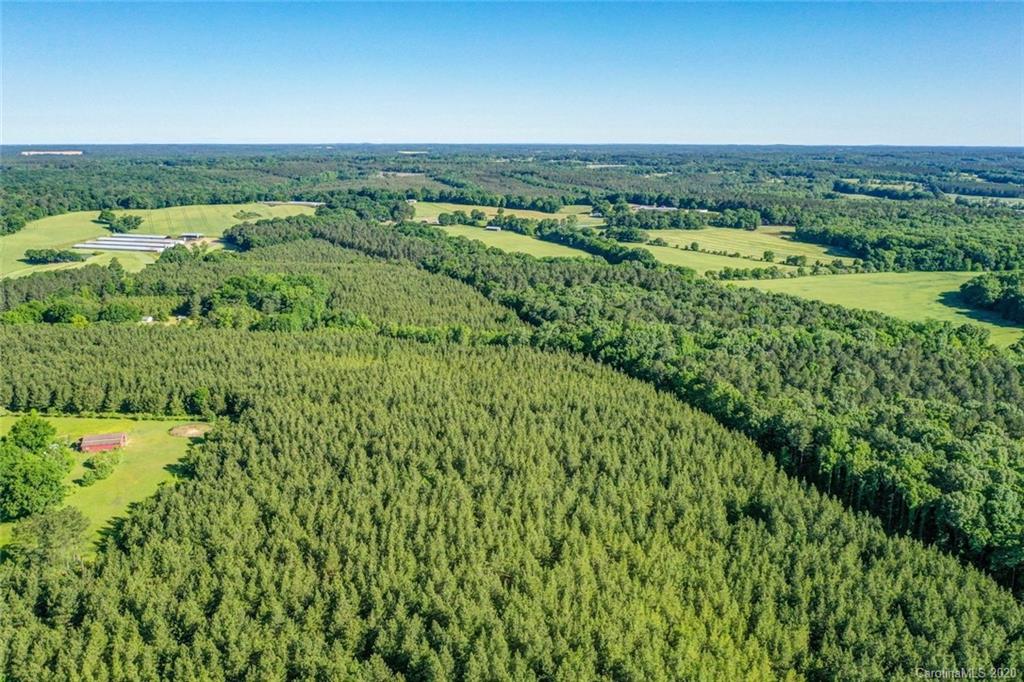 1246 Lower White Store Road Peachland, NC 28133 - Photo 3 of 17 Gallery Image 3