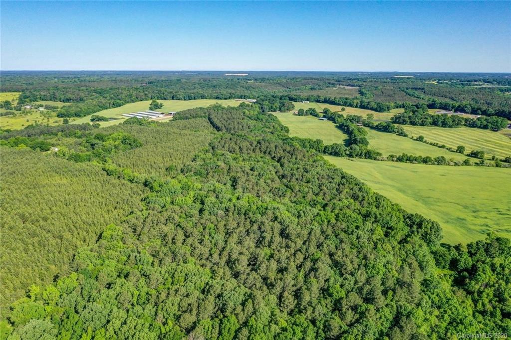 1246 Lower White Store Road Peachland, NC 28133 - Photo 5 of 17 Gallery Image 5
