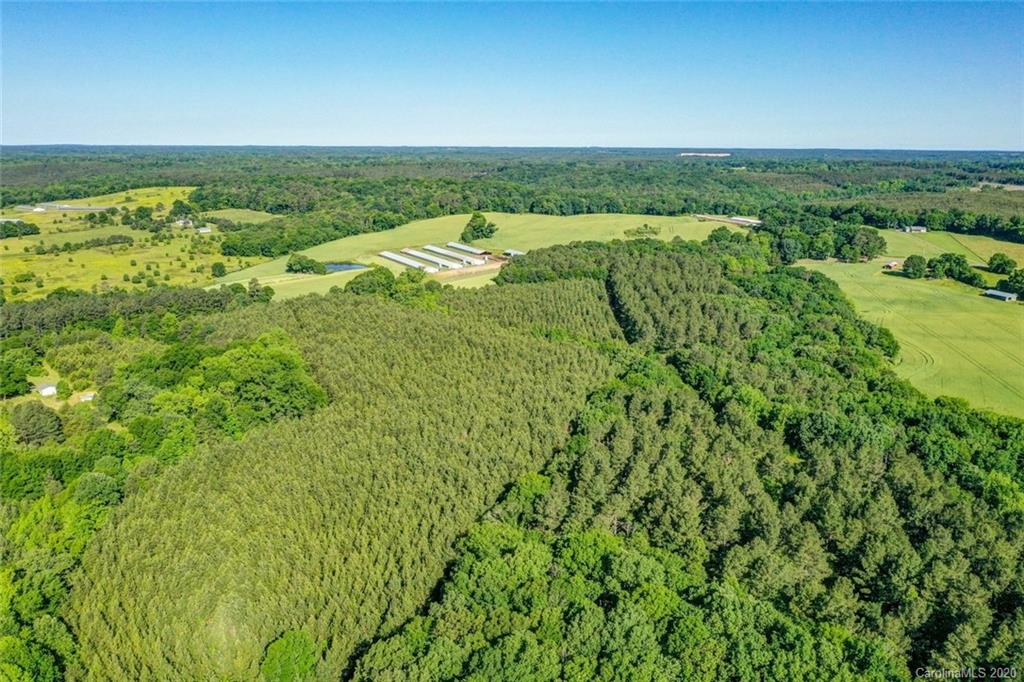 1246 Lower White Store Road Peachland, NC 28133 - Photo 6 of 17 Gallery Image 6