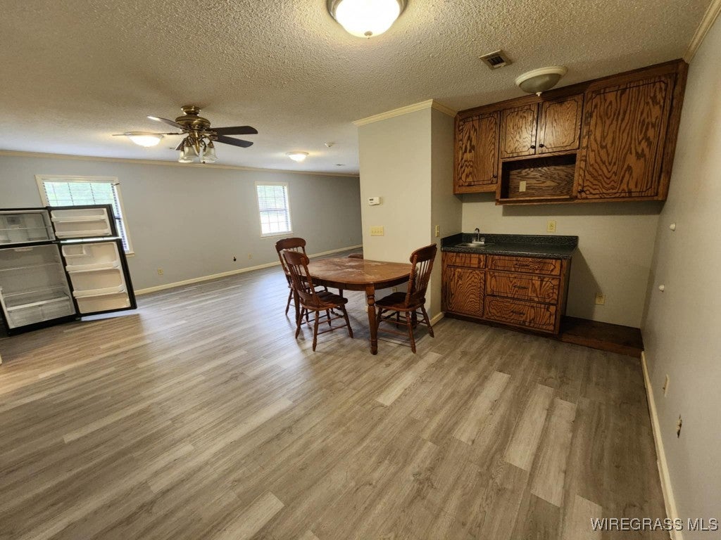 967 Lake Frankie Road Samson, AL 36477 - Photo 19 of 27 Gallery Image 19