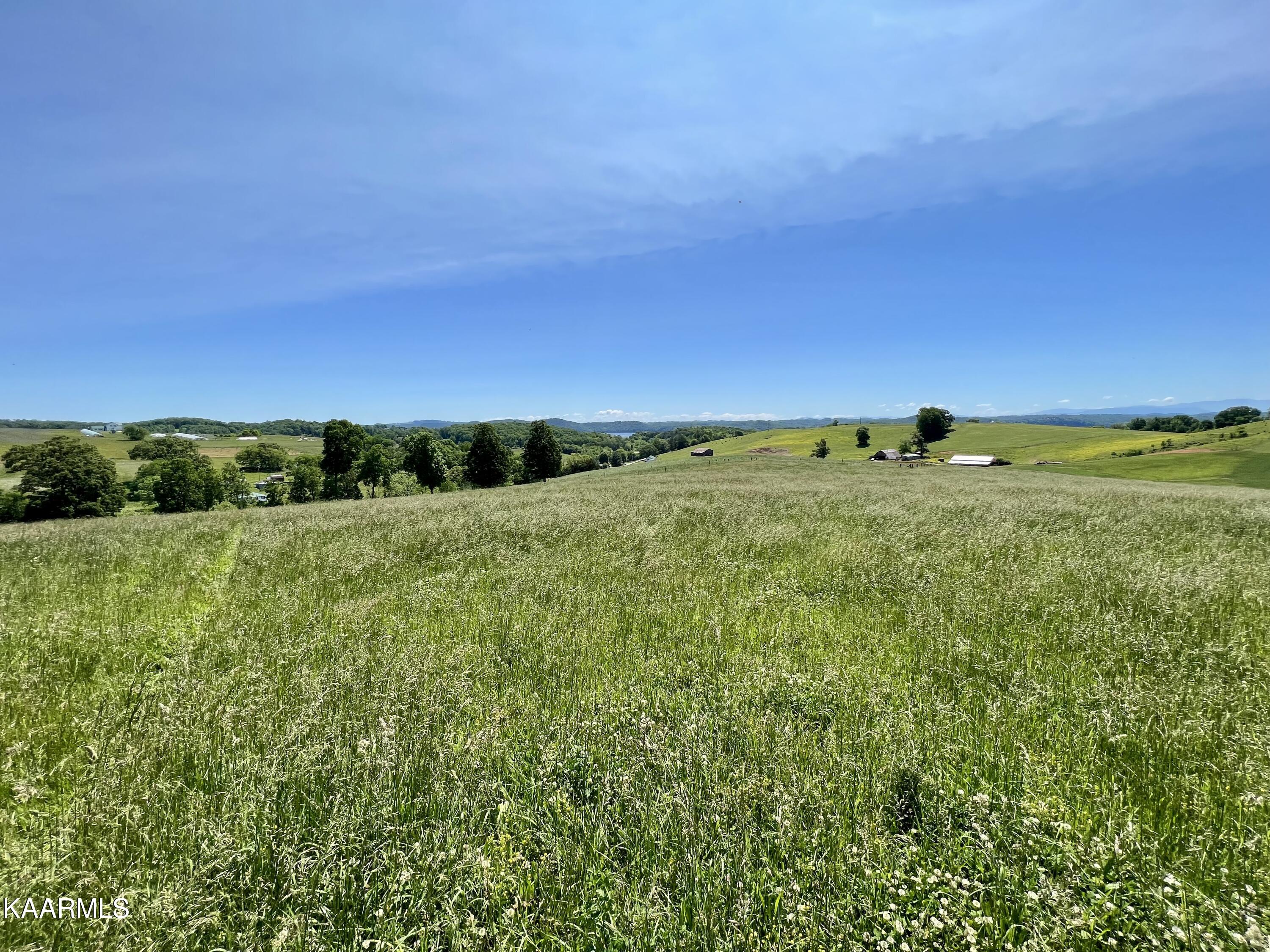 Spoon Hollow Road Rutledge, TN 37861 - Photo 14 of 60 14