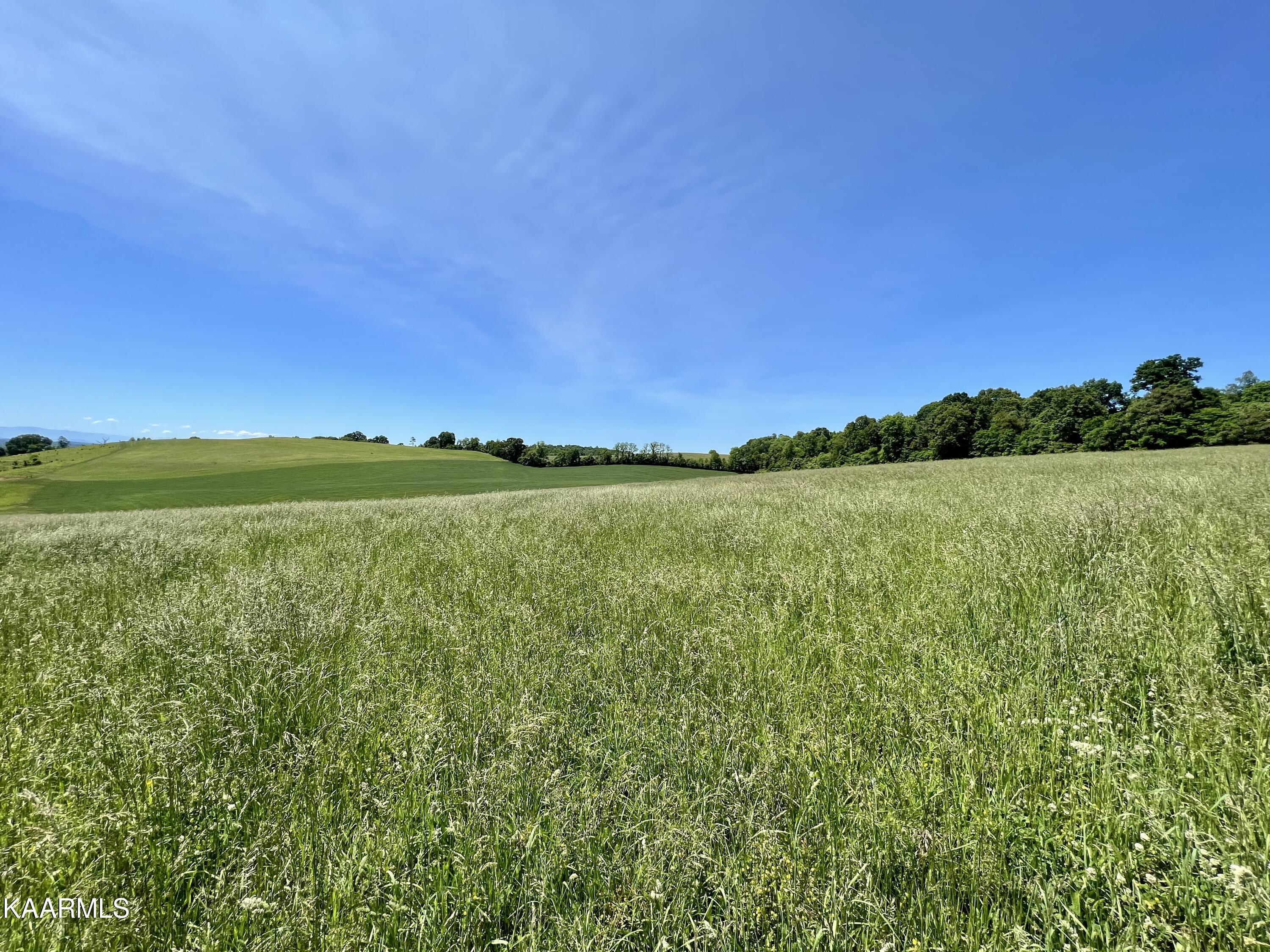 Spoon Hollow Road Rutledge, TN 37861 - Photo 16 of 60 16