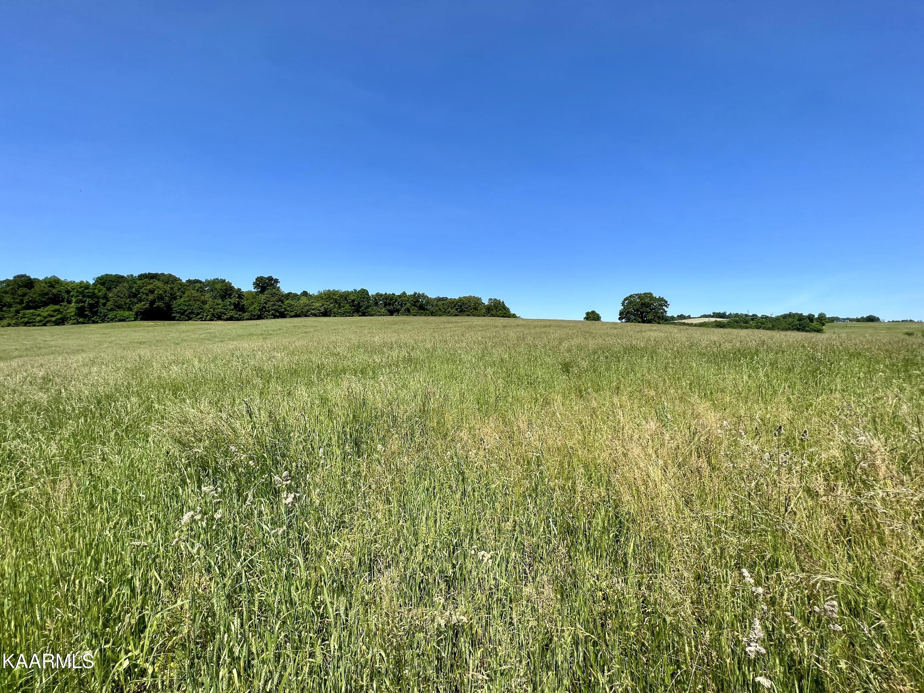 Spoon Hollow Road Rutledge, TN 37861 - Photo 17 of 60 17