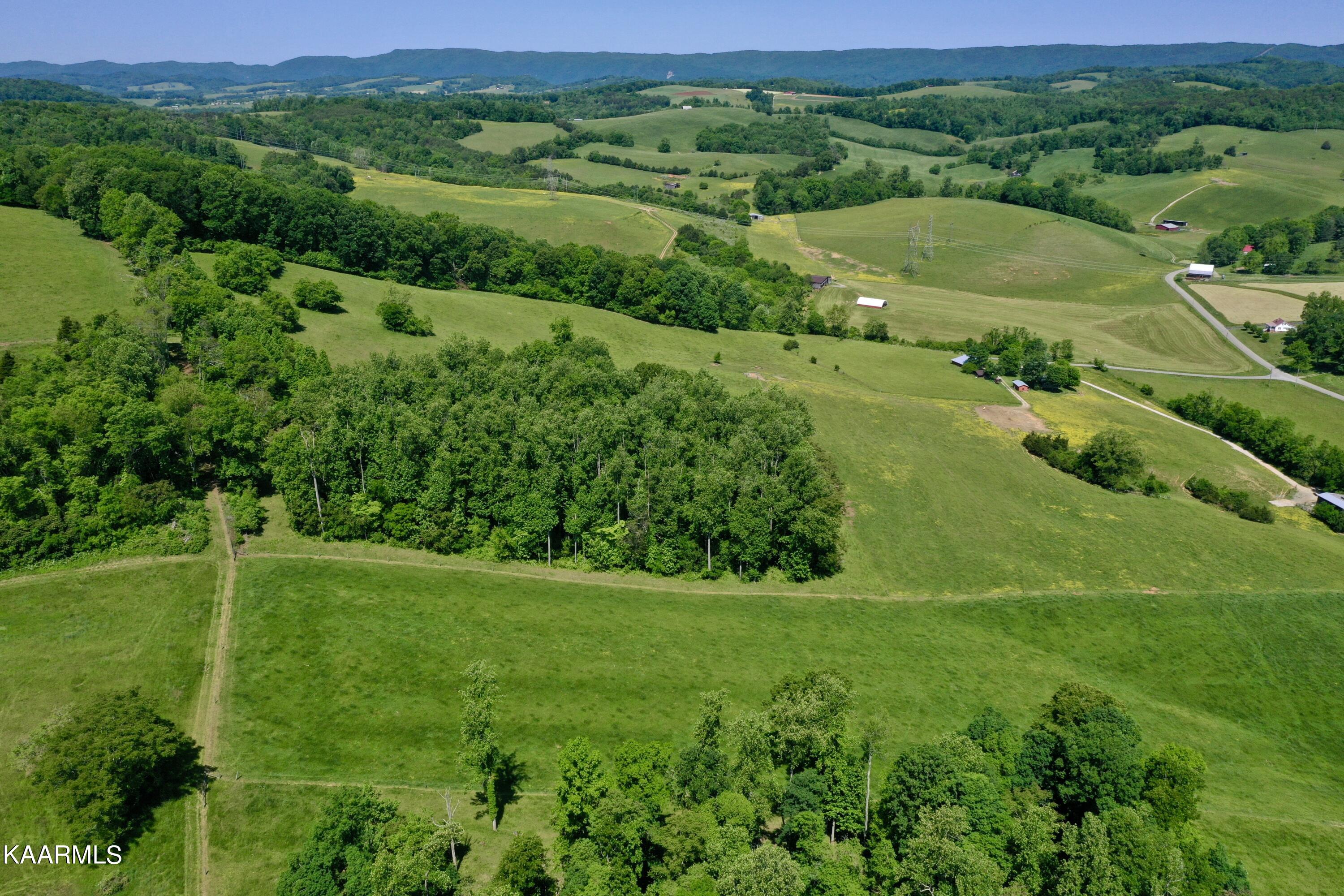 Spoon Hollow Road Rutledge, TN 37861 - Photo 2 of 60 2