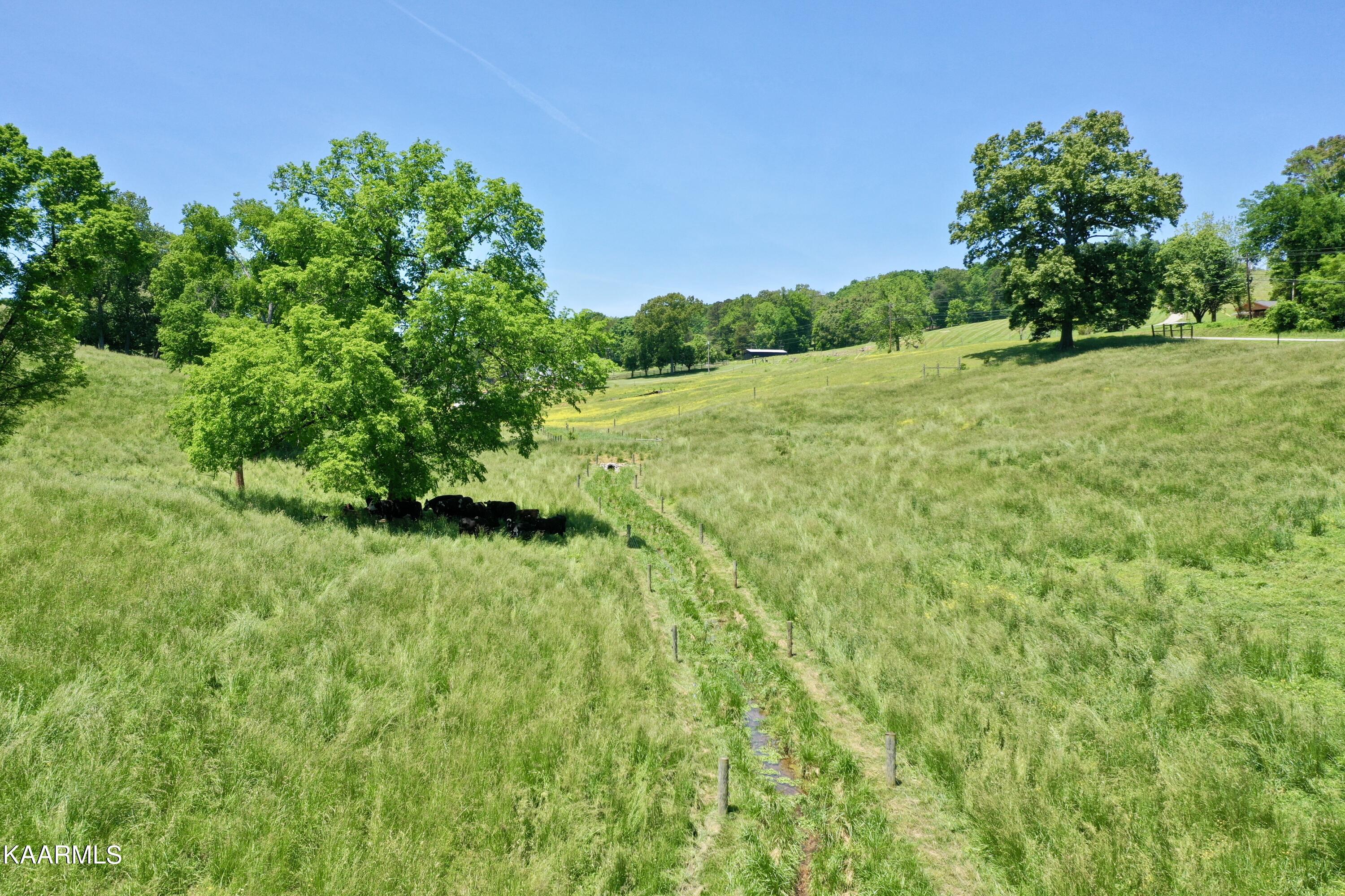 Spoon Hollow Road Rutledge, TN 37861 - Photo 25 of 60 25
