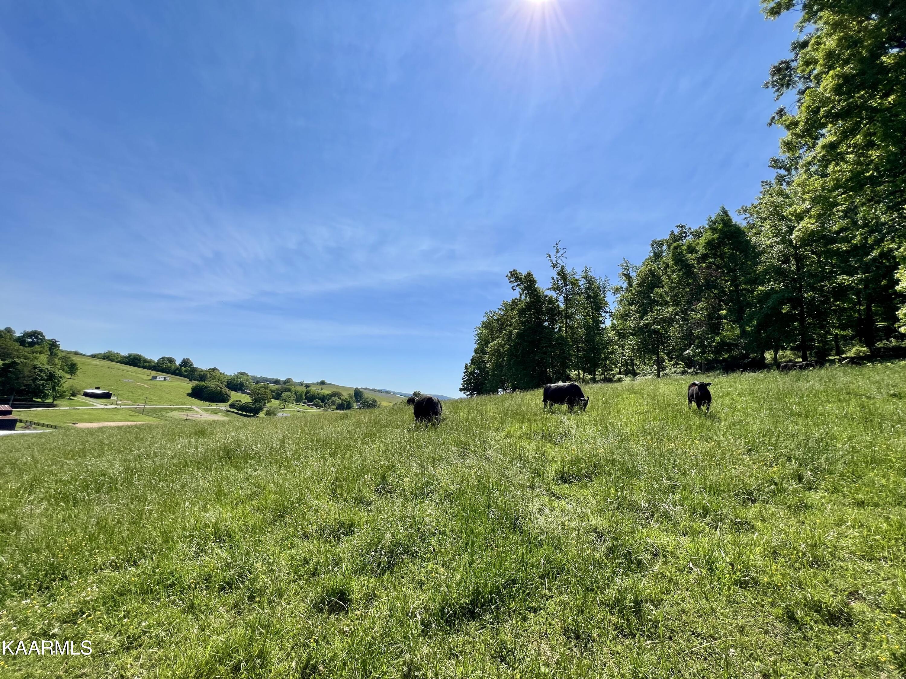 Spoon Hollow Road Rutledge, TN 37861 - Photo 31 of 60 31