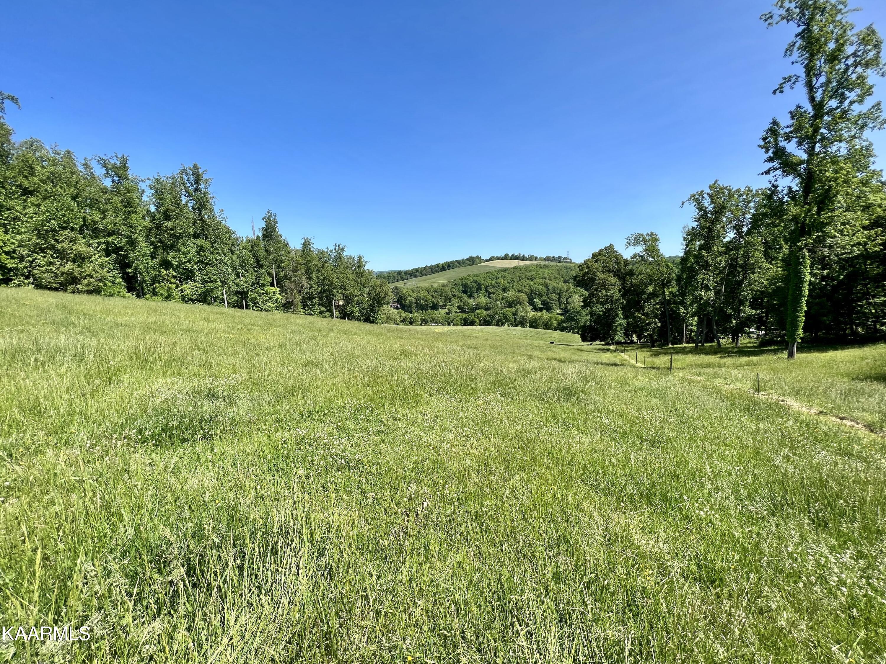 Spoon Hollow Road Rutledge, TN 37861 - Photo 32 of 60 32