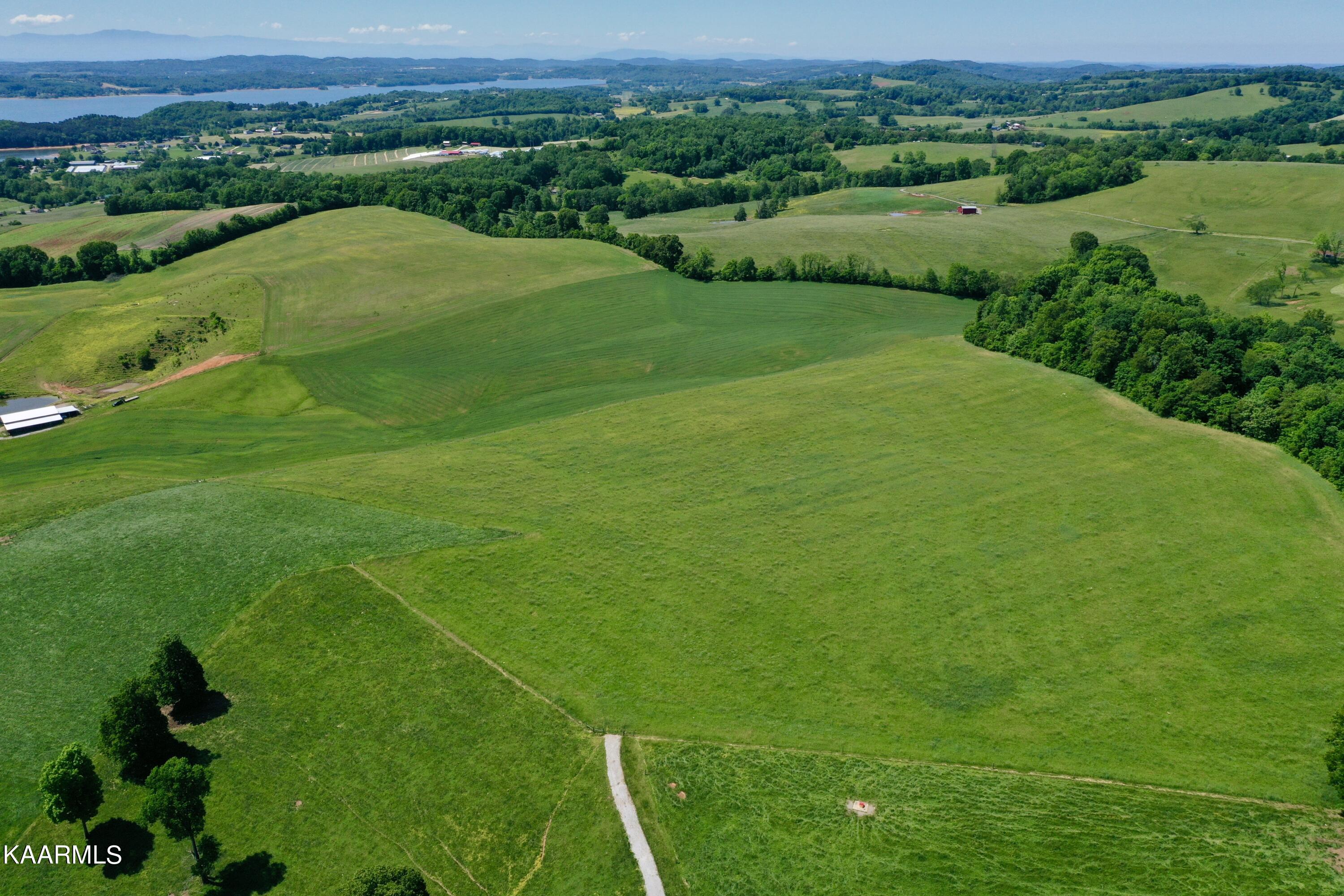Spoon Hollow Road Rutledge, TN 37861 - Photo 36 of 60 DJI_0830