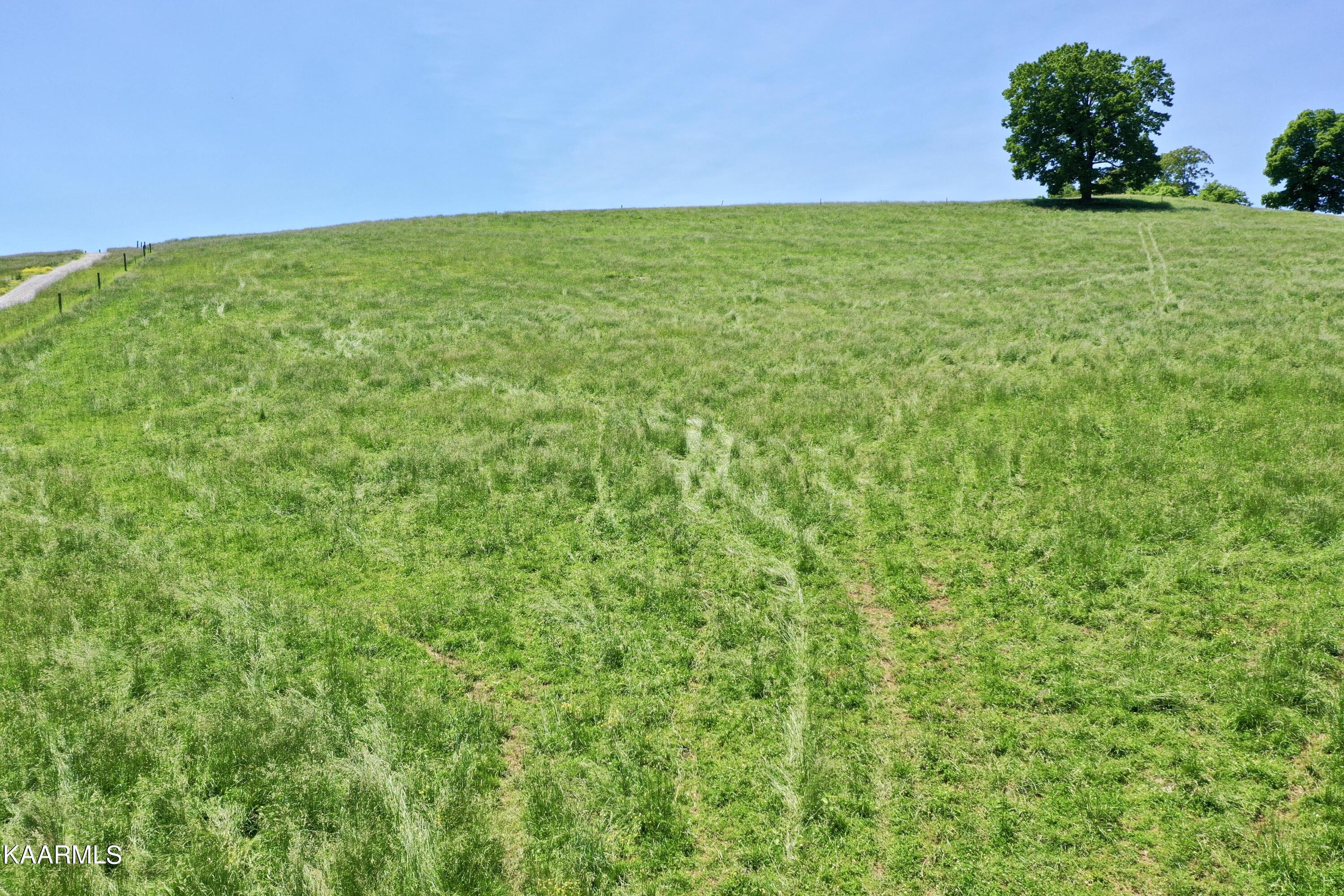 Spoon Hollow Road Rutledge, TN 37861 - Photo 40 of 60 DJI_0844